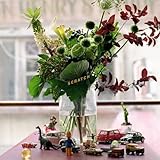 SCRATCH (通常盤) (CD) - グソクムズ (特典なし)