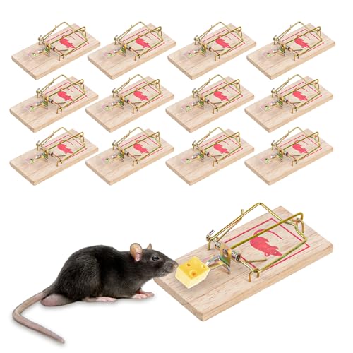Juego de Las 12 Pequeño Ratonera de Madera, Ratones de Madera Reutilizables 9.8 x 4.8 Cm, Trampas para Ratones Madera y Metal Gran Poder De Impacto Fácil manejo para Interiores y Exteriores