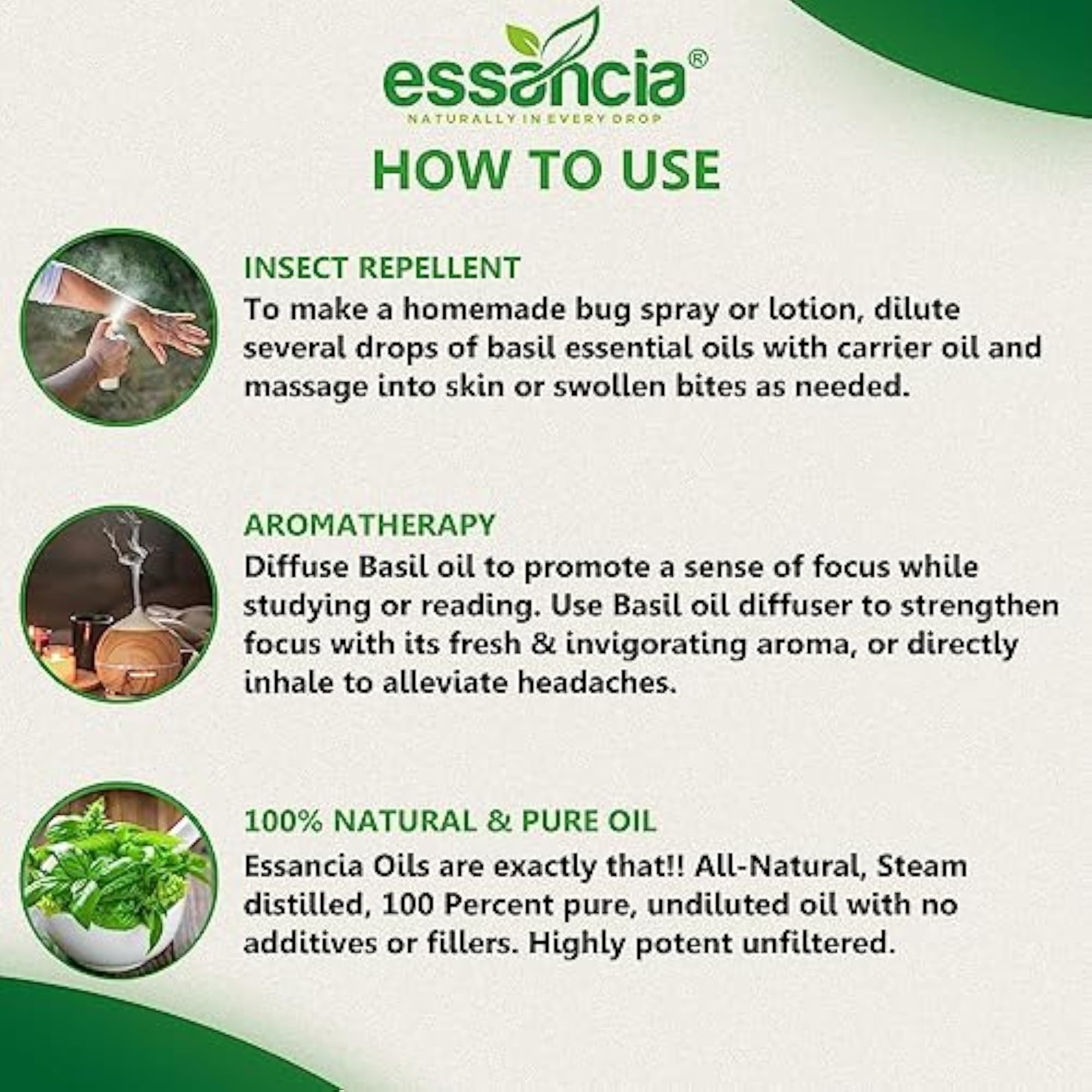 Essential Basil Oil for Mental Clarity & Aromatherapy, 15ml