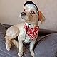 SULIUDAJI 2 Stück Hunde Bandana Kopftücher, Hundehalstuch Mit Halsband, Dreieckstuch Halsdreiecke Hundehalstcher, Einstellbare Hund Halstuch Für Welpen Kleine Große Hunde Und Katzen