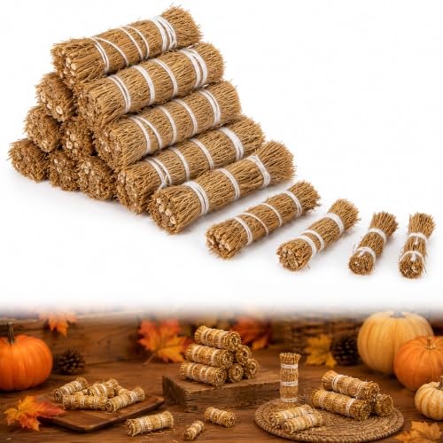 RAINFLOW 15 Natural Straw Decoration - Hay Bales for Thanksgiving Decor