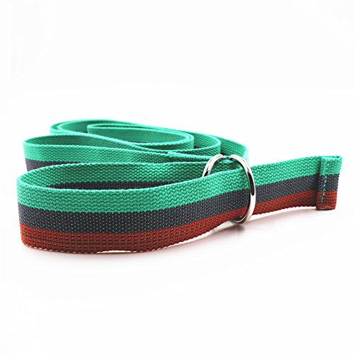 Teeoff Yoga Straps With Adjustable Metal D-Ring For Pilates Gym Workouts Stretching 8 Colors (Green Striped) #TOP2