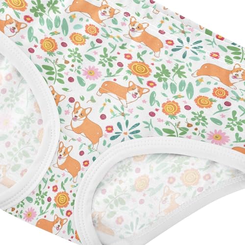 Cute Corgi Dogs Toddler Girls's Underwear 2T 202c17984