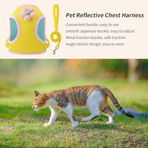 ybgn[lX - ˑf qL n[lX,ʋC ybgp q Xgbv U   r[` Lv AEghA s oRp