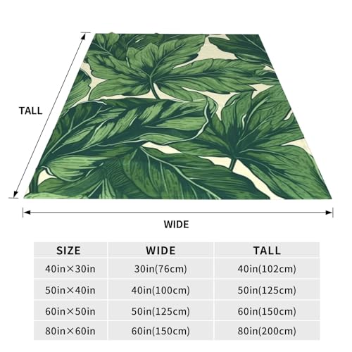 Couverture microfibre pelucheuse d'une douceur exceptionnelle pour intérieur - 5