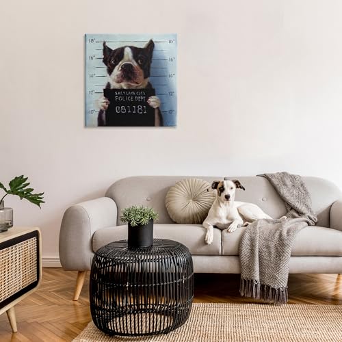 Image of Boston Terrier Mugshot Humor, 30 x 30 Inch Canvas Wall Art | Stupell Industries . By Lucia Heffernan . Ready to hang . Funny pet decor for living room or office . Made in USA