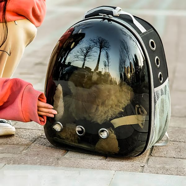 Retoo Katzenrucksack Hunderucksack mit Vornes Transparentes Fenster und Reißverschluss, 42x35x25cm, Transporttasche mit Belüftungslöchern, Verstellbare Gurte, für Katzen und Kleine Hunde, Schwarz