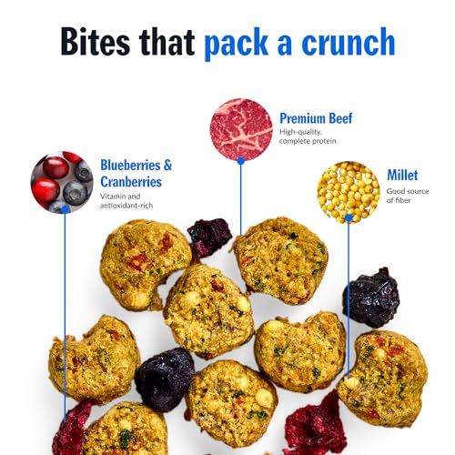 PetPlate FreshBaked Dry Canine Meals Grain-Inclusive | Human Grade Canine Kibble | Vet Designed and Formulated with Prebiotics and Postbiotics | No Fillers or by-Merchandise | 2lbs (Beef) PetPlate FreshBaked Dry Canine Meals Grain-Inclusive | Human Grade Canine Kibble | Vet Designed and Formulated with Prebiotics and Postbiotics | No Fillers or by-Merchandise | 2lbs (Beef)