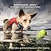 PetSafe Kurgo Apportierspielzeug für Hunde - Fördert das Spielen im Wasser und Bewegung - Langlebiges Schwimmspielzeug - Leuchtende Farben - Schwimmende Apportiersteine - Ungiftig - 3er-Pack