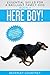 Here Boy!: Step-by-step to a Stunning Recall from your Brilliant Family Dog (Essential Skills for a Brilliant Family Dog Book 4)