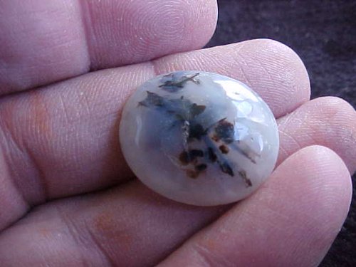 gemqz d4817 dendrite agate oval cabochon landscape