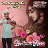 Huasteco SIN Fronteras