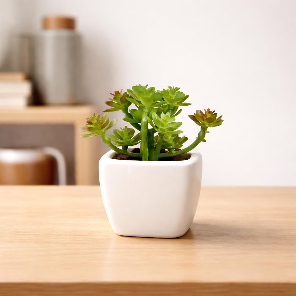 SATYAM KRAFT 1 Pcs Mini Artificial Flower with Ceramic Pot | Small Succulent Artificial Flowers for Home Decor, Office, Living Room, Kitchen, Bedroom, Wedding Decorations (8 cm)-image-32