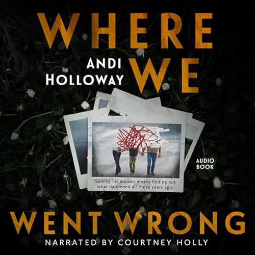 Where We Went Wrong Audiolivro Por Andi Holloway capa