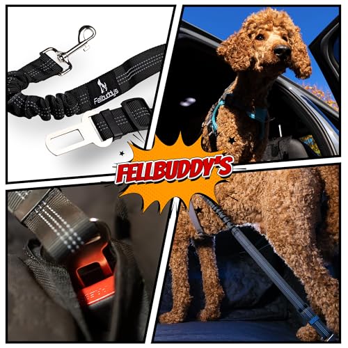 Fellbuddy's Auto Sicherheitsgurt für Hunde und Katzen – Verstellbare Gurtverlängerung Auto, Kompatibel mit Hundegeschirr & Hundeleine – Sicheres Hundezubehör für Hundebox im Auto