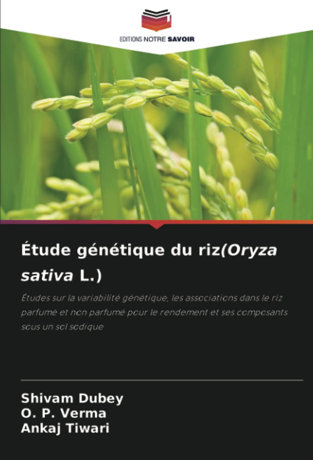 Oryza Sativa Propriétés – Oryza Sativa Rice Son Wax – SFSPF