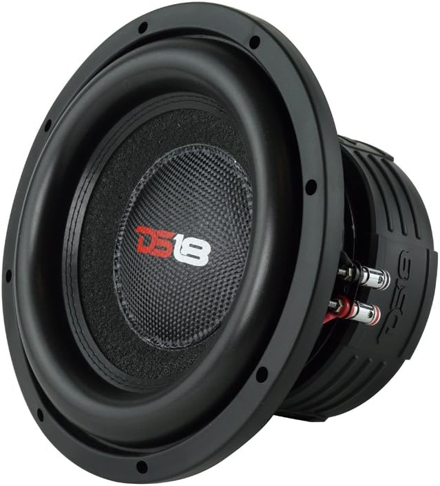 ds18 Subwoofer da 10 pollici