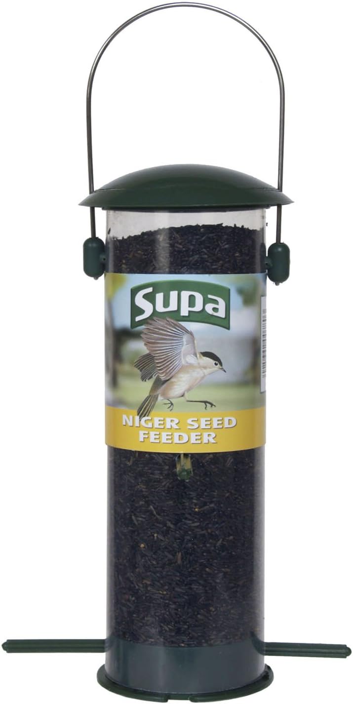 cardo mariano per uccelli