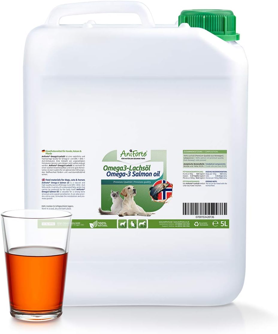 olio di pesce per i dolori alle articolazioni del cane