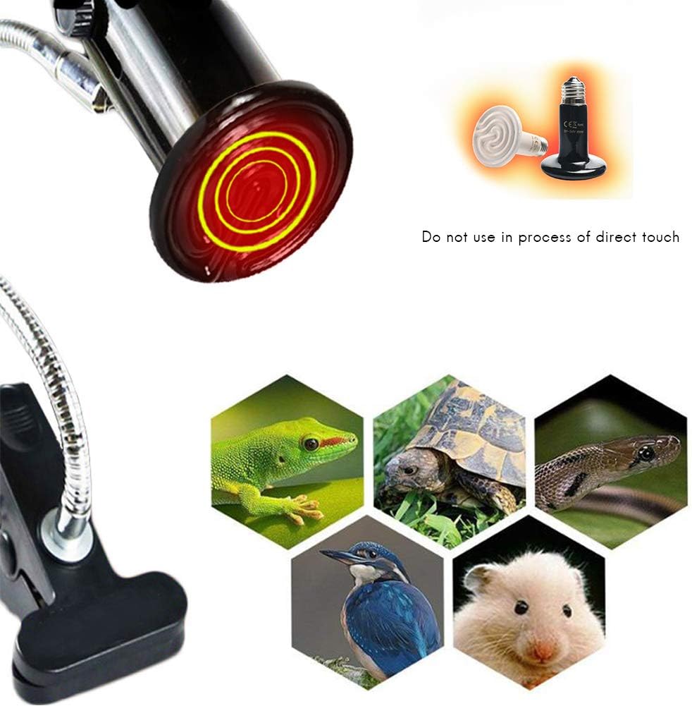 riscaldatore in ceramica per rettili