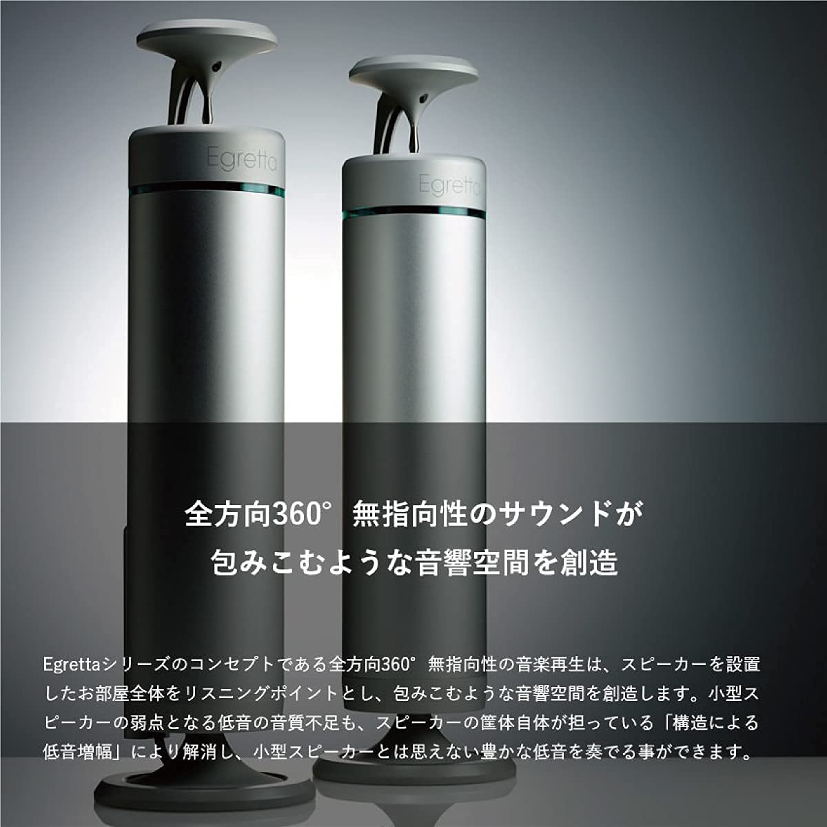 Amazon.co.jp: TS550 [ナチュラルサウンド アクティブ スピーカー 