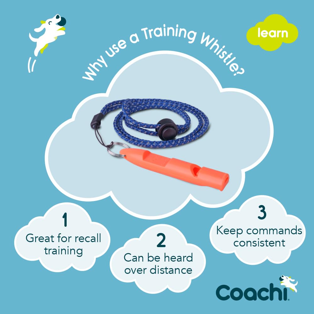 Coachi Training Whistle, Ideal for Obedience and Recall Training Strong Clear Sound, Lightweight Polymer Material and Compact - Image 2