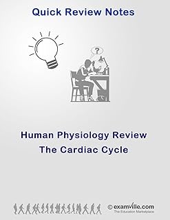 Physiology Review: The Cardiac Cycle (Quick Review Notes)