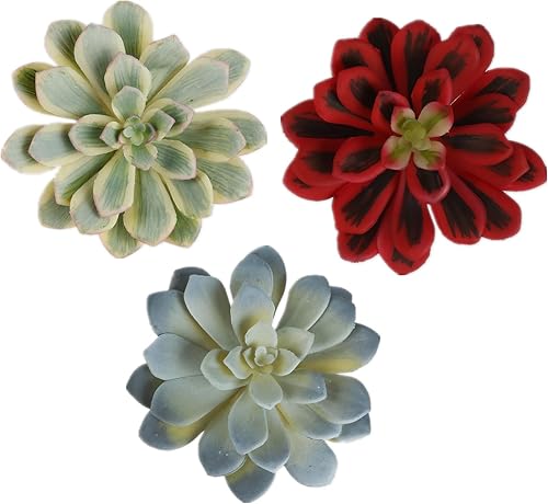 3 piezas de suculentas artificiales sin maceta, surtidas suculentas falsas para decoración de oficina, familia, jardín