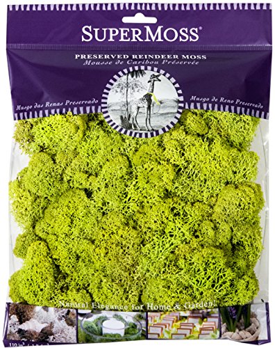 Super Moss 21707 Reindeer Moss Preserved, Chartreuse, 4-Ounce