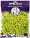 Super Moss 21707 Reindeer Moss Preserved, Chartreuse, 4-Ounce