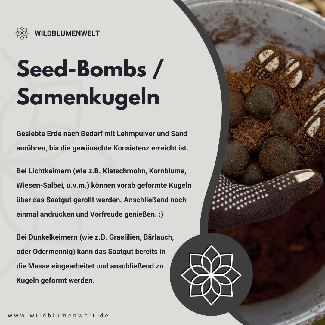LEHM/polvere naturale di argilla per la costruzione di Sandarium & Api (aiuti di nidificazione), per il fissaggio di tubi di cova, per modellare bombe di seme, come offerta per rondini per la