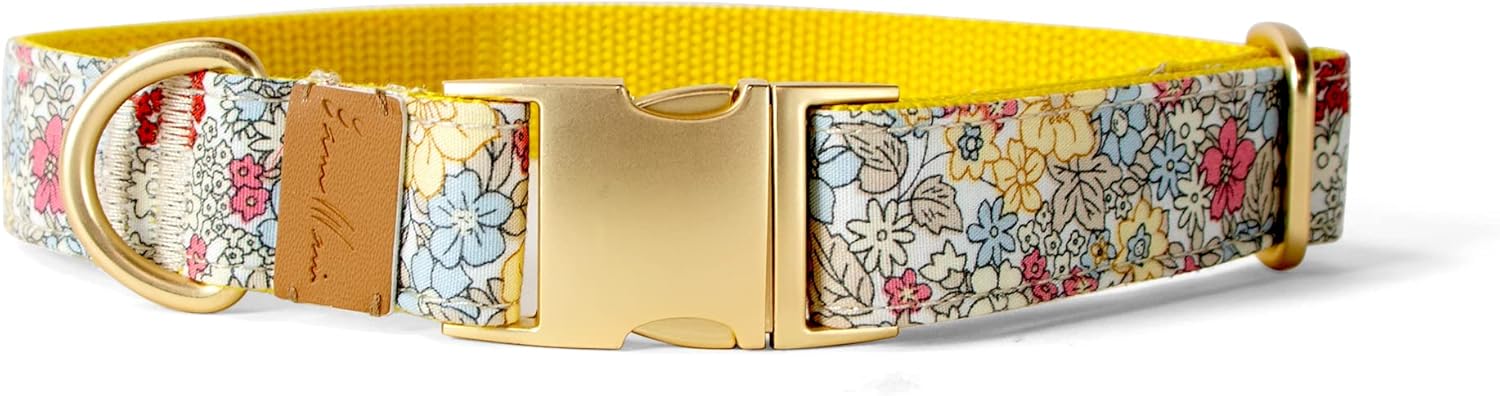 Sam & Maui Cotton Floral Dog Collar with Matt Gold Metal Buckle, 01-Champagne and Blue,Large