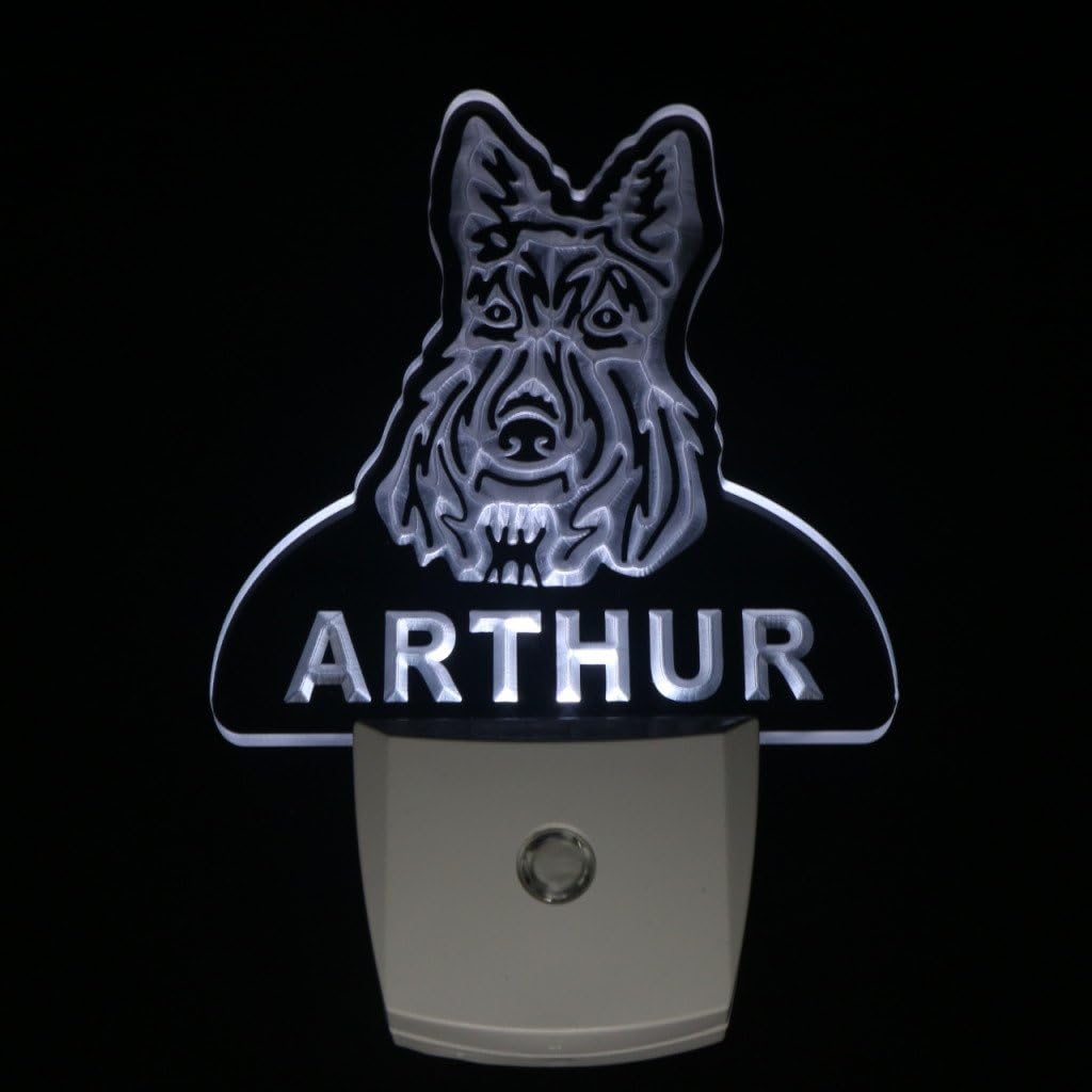 ADVPRO ws1088-tm Scottish Terrier Personalized Night Light Name Day/Night Sensor LED Sign