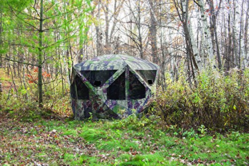 Barronett Blinds Pt550Bw Pentagon Pop Up Portable Hunting Blind, Bloodtrail Backwoods Camo #TOP1