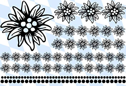 HR-WERBEDESIGN 89- teiliges Edelweiss Aufkleber Allgäu Klettern Berge Alpen ALM Edelweiß Bayern