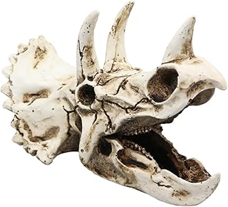 TEHAUX Esconderijo Casa Decoração De Vidro Recipiente De Vidro Grande Lagartixa Terrário Caverna Betta Esconderijo Tanque De Peixes Esconderijo Resina Decoração De Caveira Artificial