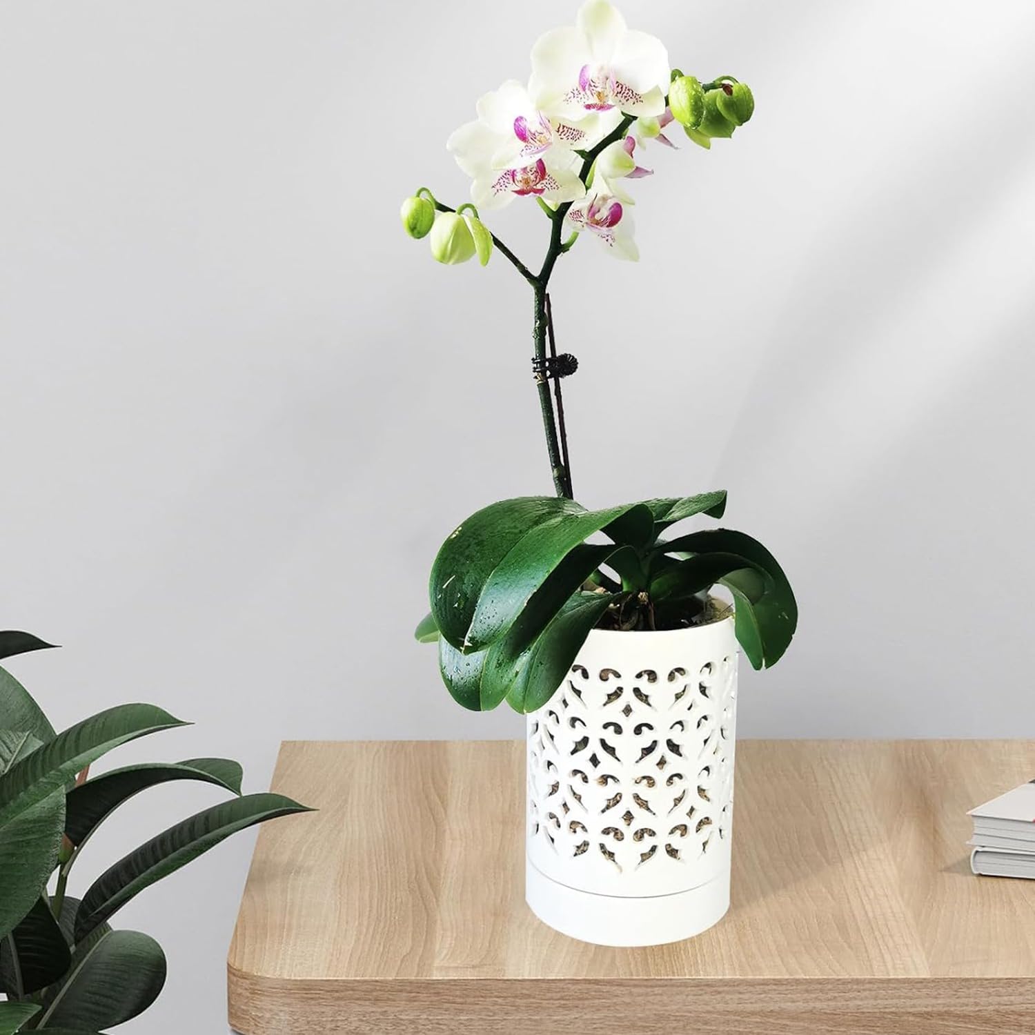 LITUDISO Set di 2 vasi per orchidee con fori, vasi in ceramica per piante da 12,7 e 15,2 cm, ideali per drenaggio e flusso d'aria, uso interno/esterno, perfetto per rinvasare