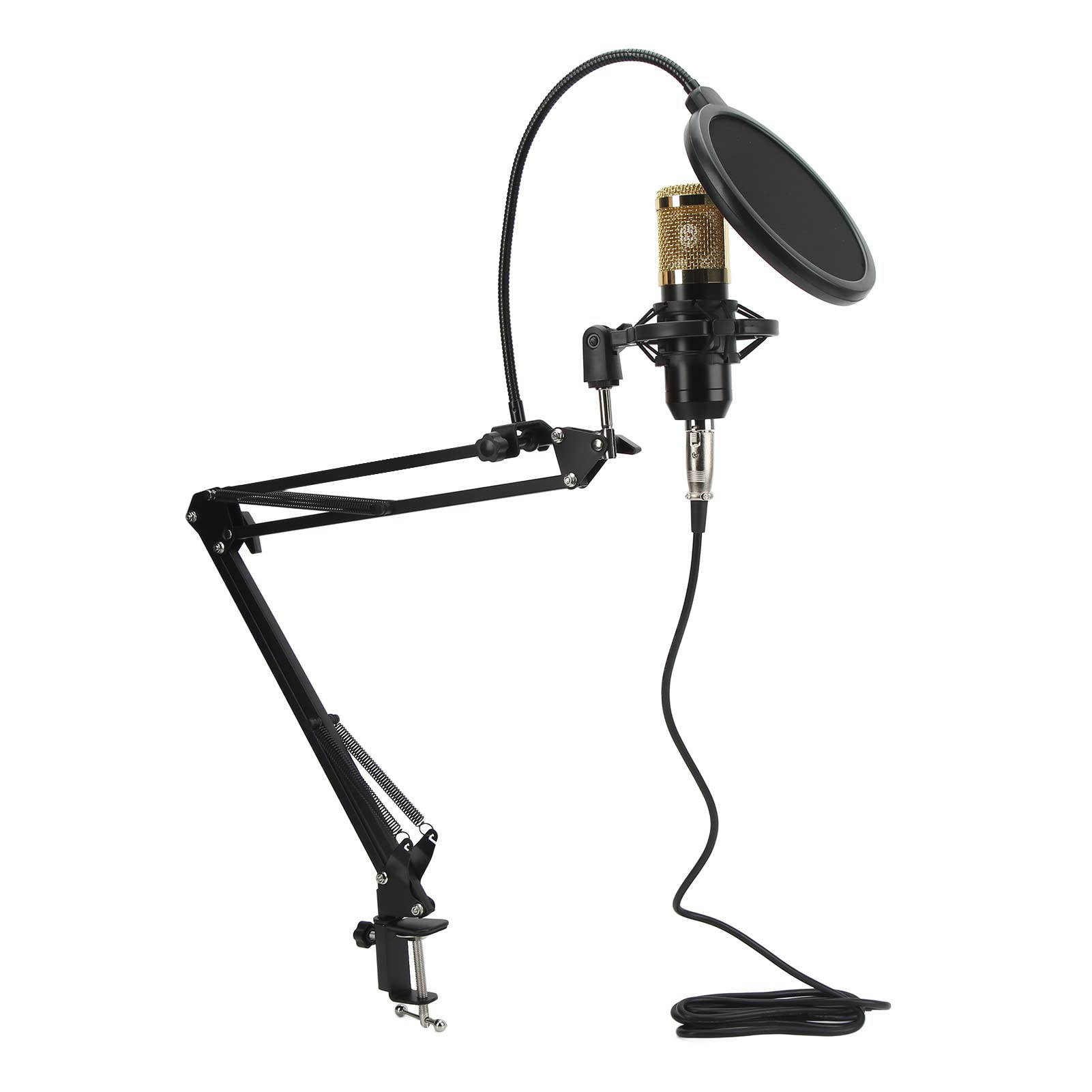 Amazon.co.jp: スタジオマイクセット 使いやすい 3.5mm コンデンサー 