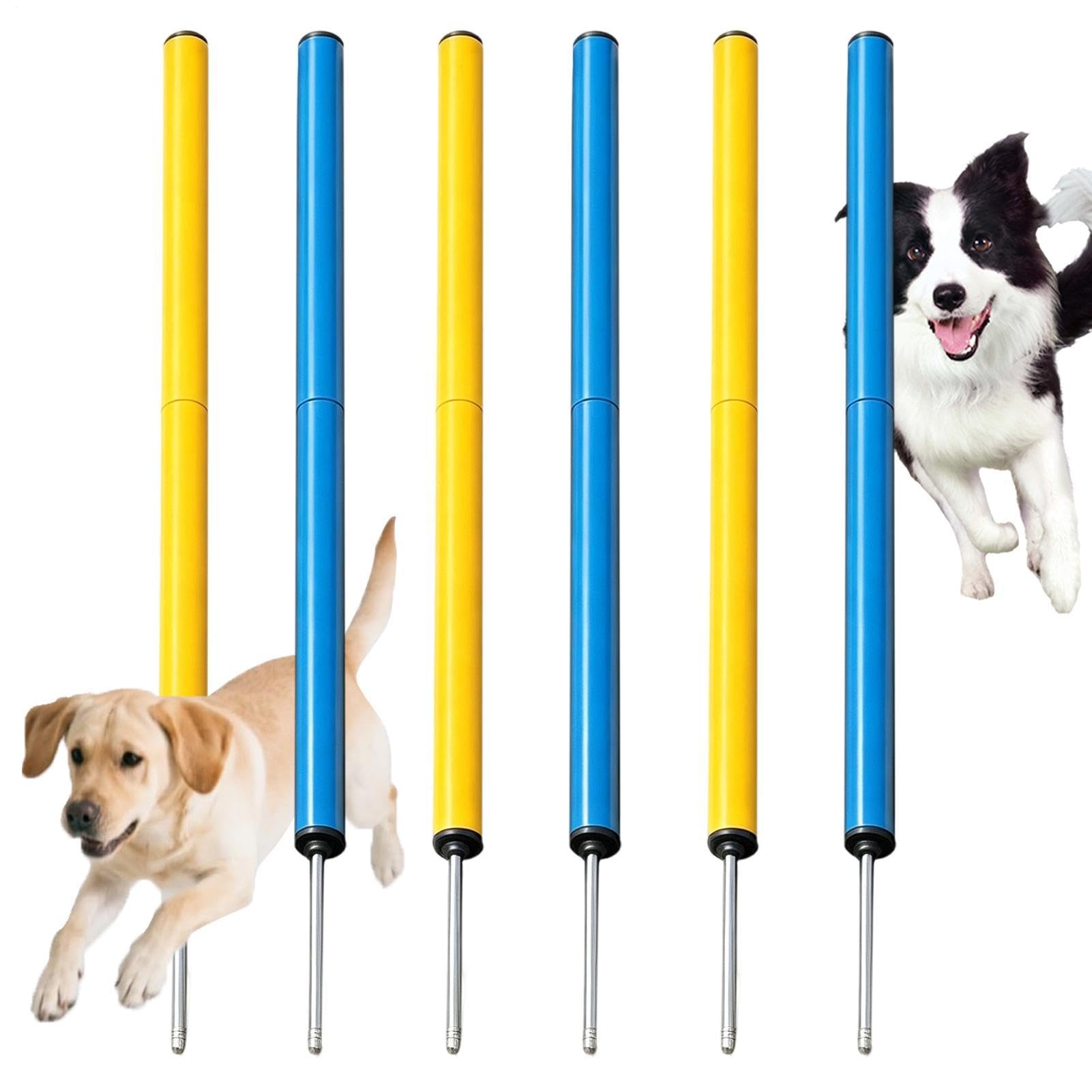 Hunde Agility Trainingsausrüstung 6 Stück Stabile Verstellbare Agility