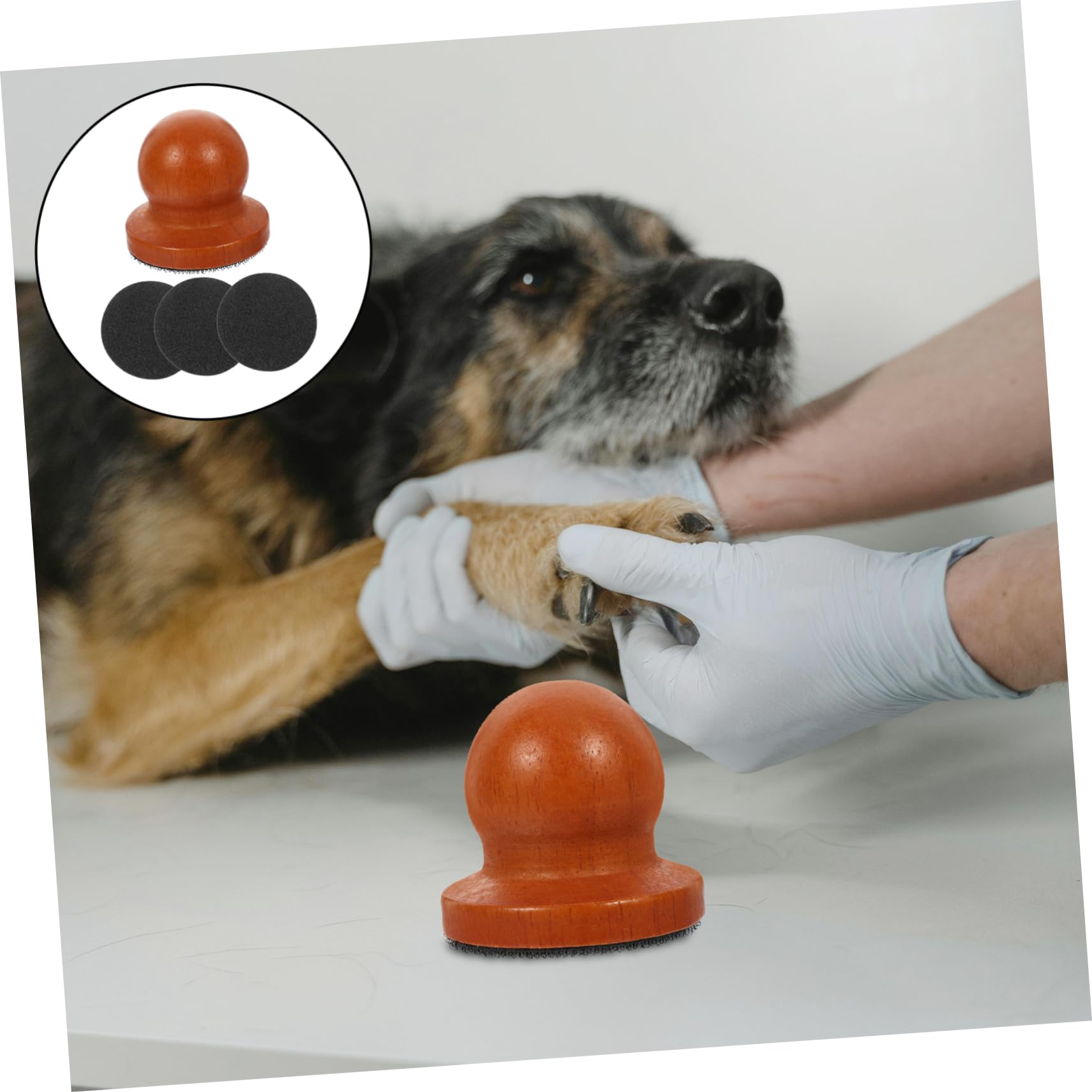 BESPORTBLE 5juegos Uñas para Perros y Gatos De Uñas De Madera para Mascotas Pequeñas Medianas y Herramienta y Segura para Cuidado Patas De Tus Mascotas