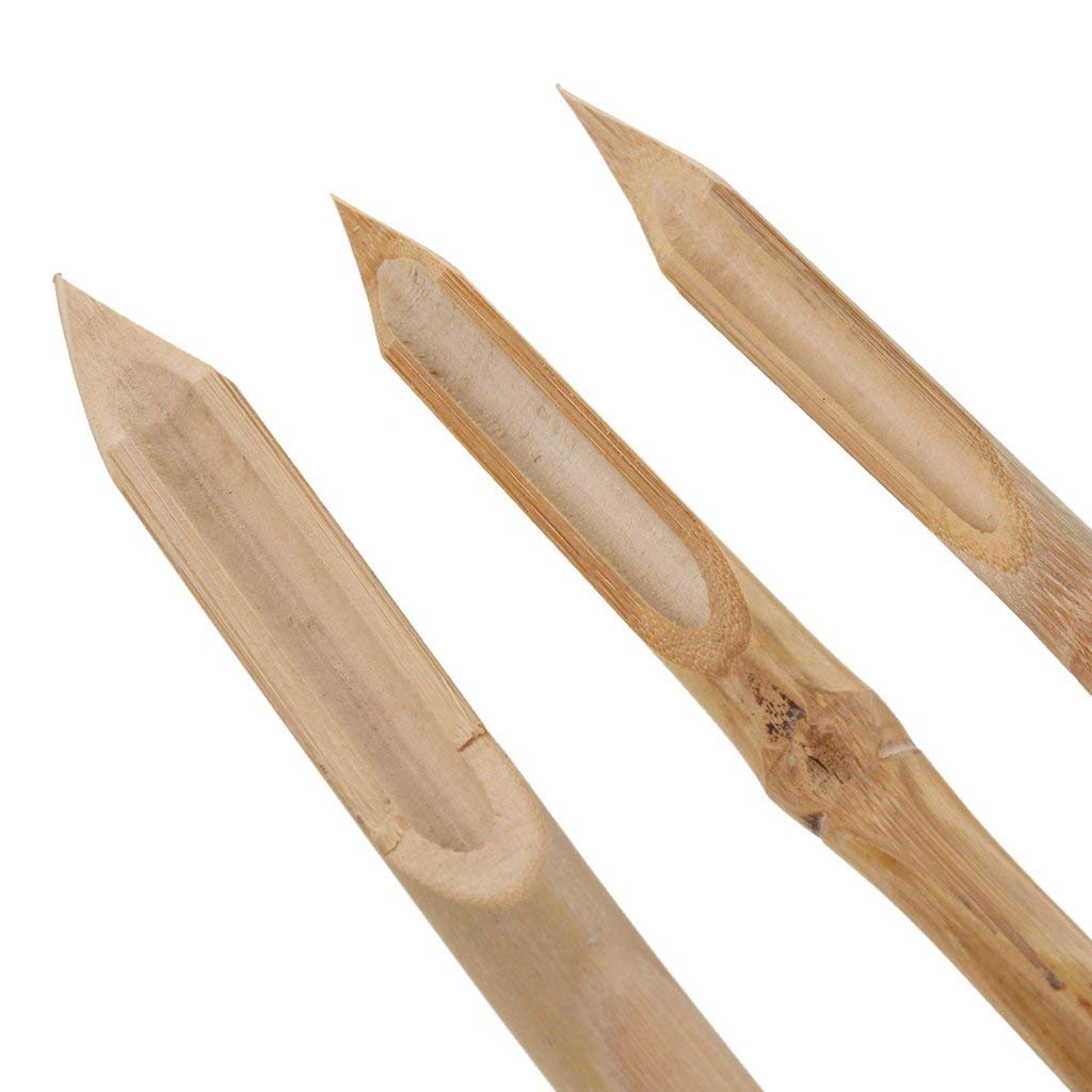 COMIART Hard Strong Bamboo Reed Pens Pottery Ceramic Shaping Tools Polymer Clay Tool 1
