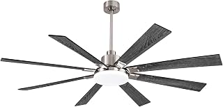 72 Inch Indoor Outdoor Ceiling Fan, 8 Blades DC Motor Remote & Wall Switch