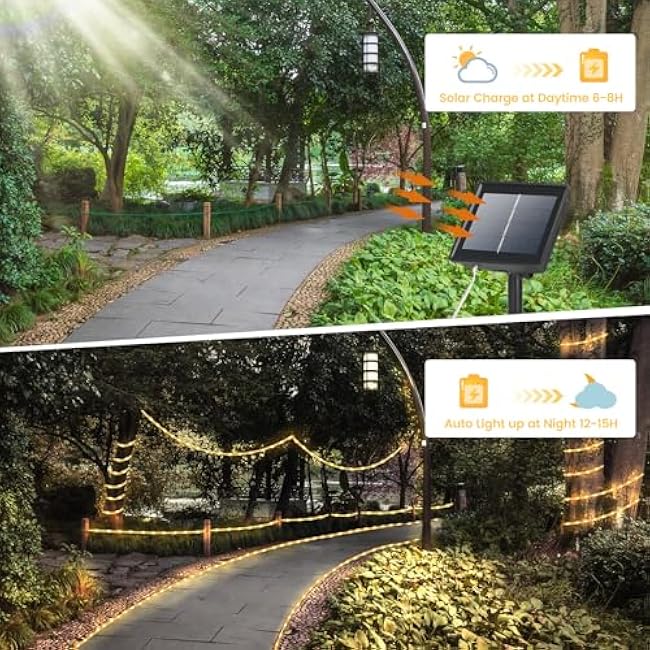 Solar Rope Lights, 66ft 200LED Solar Powered Outdoor String Lights, Waterproof 8 Modes Flexible Clear Tube Fairy Lights for Outside, Garden, Steps, Pool, Backyard, Tree, Deck Decor