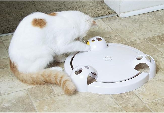 interactive mouse pounce cat toy