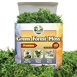 Floral Moss