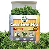 DUSPRO Green Moss for Crafts, Artificial Moss for Potted Plants, Decorative Moss for Table Centerpie