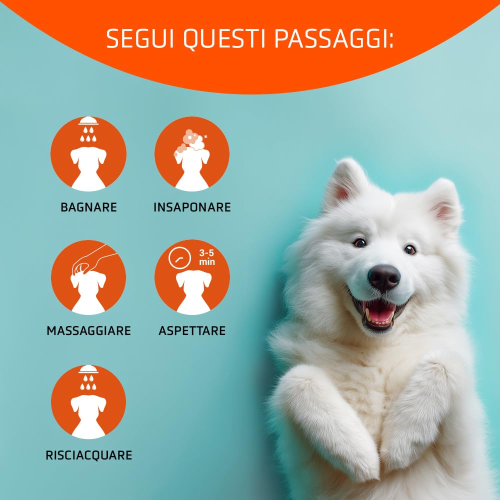 Artero Idratante. Shampoo per cani Ottima idratazione per Yorkshire Terrier, Bichon Maltese e animali a pelo lungo o pelliccia secca o rovinata. Con biotina.