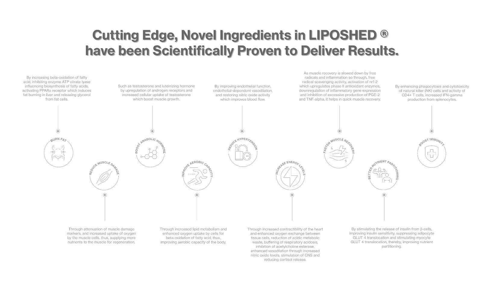LIPOSHED® | FAT LOSS PHENOMENON YOU’VE BEEN LOOKING FOR ! | With Yohimbe Bark Extract, Grape Seed Extract and Many More..| Havana Club Mojito Flavor — Amazon image 3