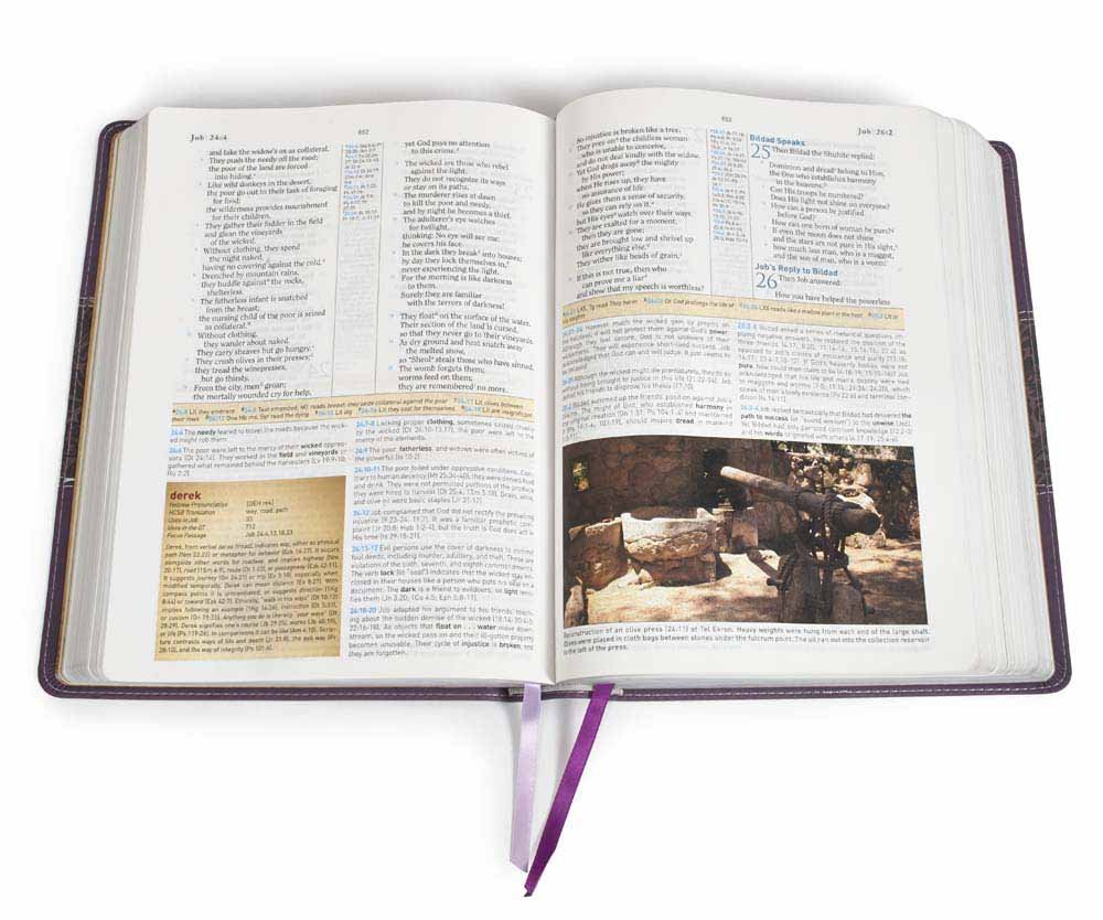 HCSB Study Bible, Jacketed Hardcover      Hardcover – October 1, 2010