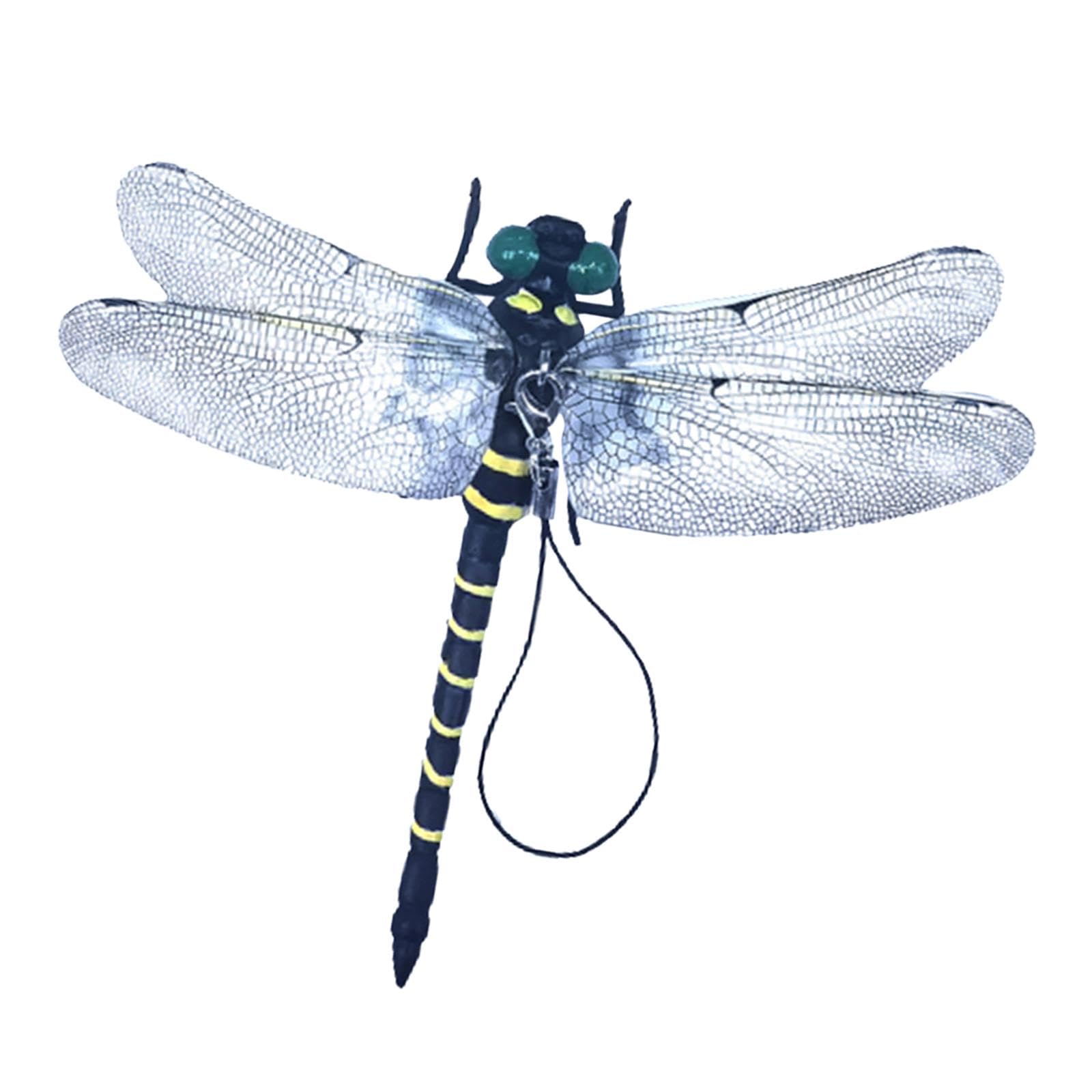 See full amazon price history chart for CLUB BOLLYWOOD® Dragonfly Figure Flies Repellent Crafts Realistic Dragonfly Figure for Trees with Hanging Rope| Statues & Lawn Ornaments| Statues & Lawn Ornaments|1pcs Dragonfly Model Flies Repellent CLUB BOLLYWOOD® Dragonfly Figure Flies Repellent Crafts Realistic Dragonfly Figure for Trees with Hanging Rope| Statues & Lawn Ornaments| Statues & Lawn Ornaments|1pcs Dragonfly Model Flies Repellent (B0CZL7KZHL) Amazon Price History, Amazon Price Tracker